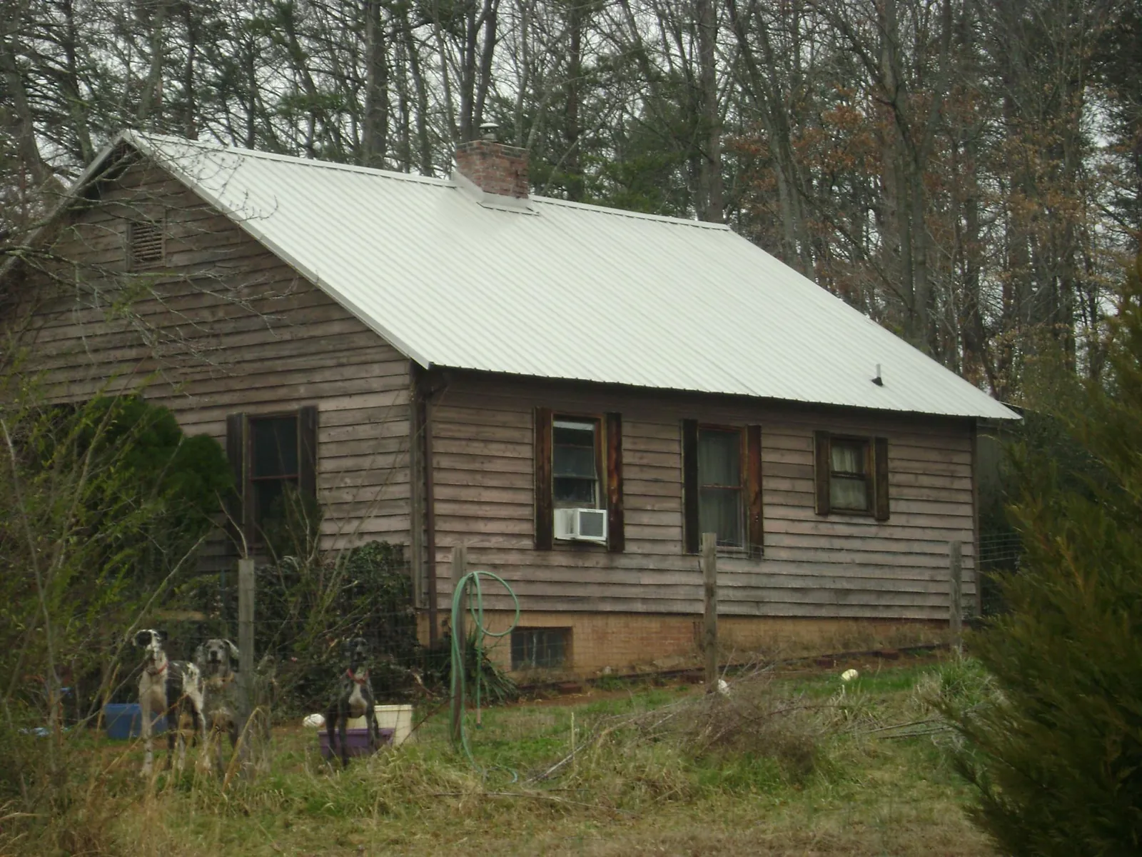 White metal roof on an old wood sided farmhouse, from a Asphalt Shingle Roof Repair job in Homosassa